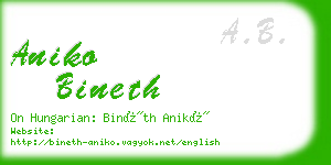 aniko bineth business card